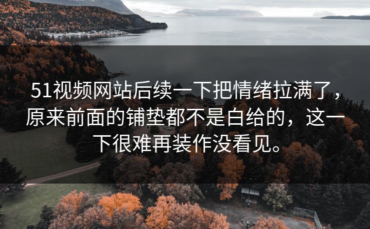 51视频网站后续一下把情绪拉满了，原来前面的铺垫都不是白给的，这一下很难再装作没看见。