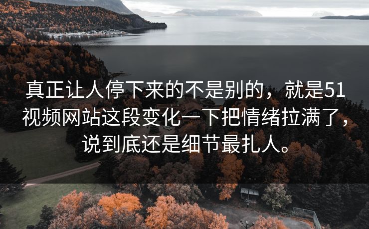 真正让人停下来的不是别的，就是51视频网站这段变化一下把情绪拉满了，说到底还是细节最扎人。