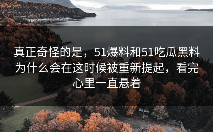 真正奇怪的是，51爆料和51吃瓜黑料为什么会在这时候被重新提起，看完心里一直悬着