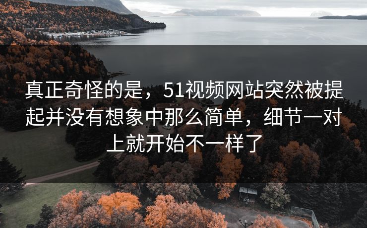 真正奇怪的是，51视频网站突然被提起并没有想象中那么简单，细节一对上就开始不一样了