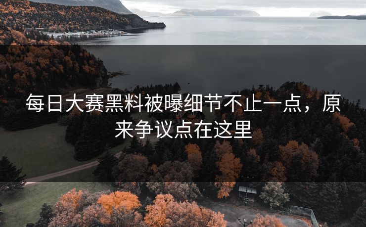 每日大赛黑料被曝细节不止一点，原来争议点在这里