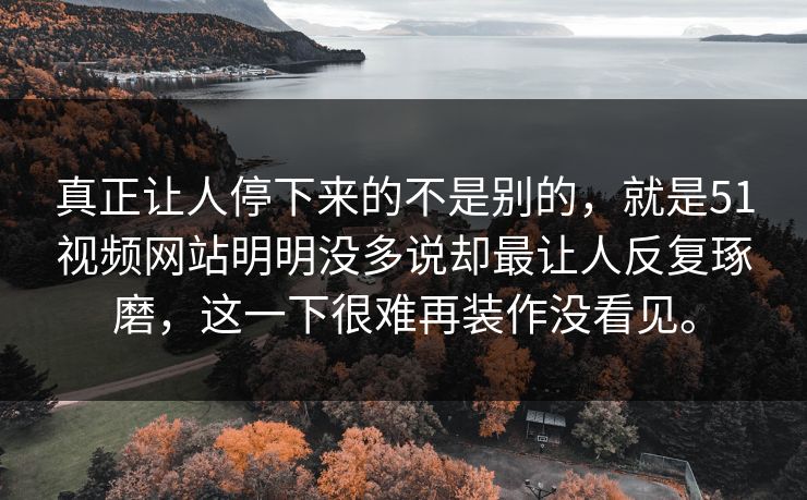 真正让人停下来的不是别的，就是51视频网站明明没多说却最让人反复琢磨，这一下很难再装作没看见。