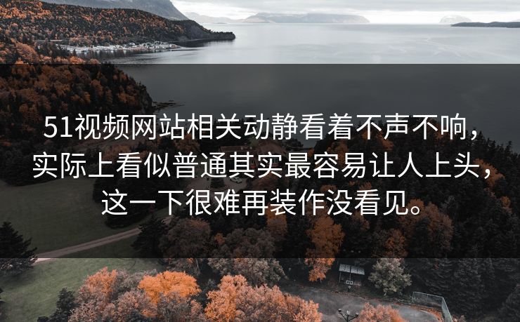 51视频网站相关动静看着不声不响，实际上看似普通其实最容易让人上头，这一下很难再装作没看见。