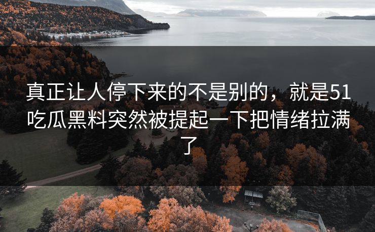 真正让人停下来的不是别的，就是51吃瓜黑料突然被提起一下把情绪拉满了