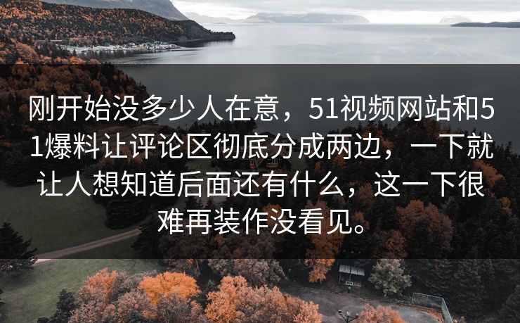 刚开始没多少人在意，51视频网站和51爆料让评论区彻底分成两边，一下就让人想知道后面还有什么，这一下很难再装作没看见。